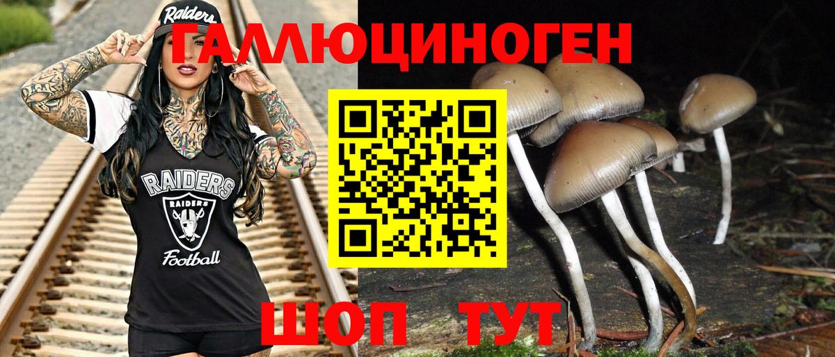 Псилоцибиновые грибы Psilocybe Нефтеюганск